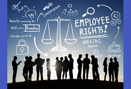 Why Labour Law Consultants are Important for Your Business 